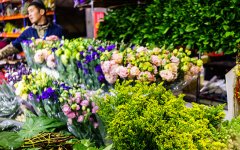 Цветы нации: как устроен цветочный бизнес в России